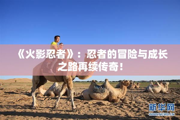 《火影忍者》：忍者的冒险与成长之路再续传奇！