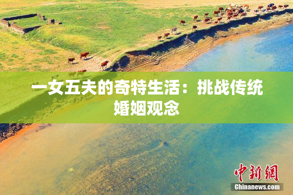 一女五夫的奇特生活：挑战传统婚姻观念
