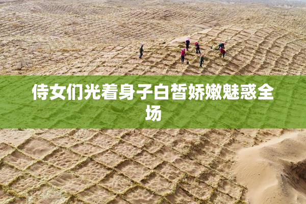 侍女们光着身子白皙娇嫩魅惑全场
