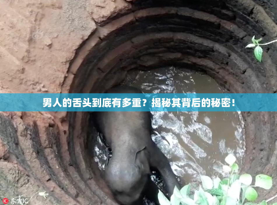 男人的舌头到底有多重？揭秘其背后的秘密！