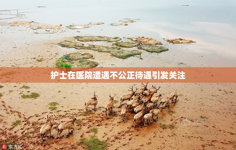 护士在医院遭遇不公正待遇引发关注
