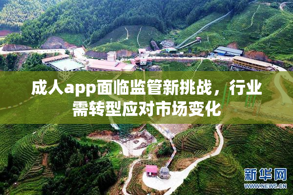 成人app面临监管新挑战，行业需转型应对市场变化