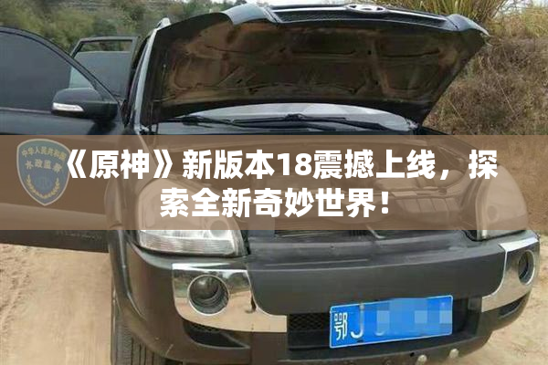 《原神》新版本18震撼上线，探索全新奇妙世界！