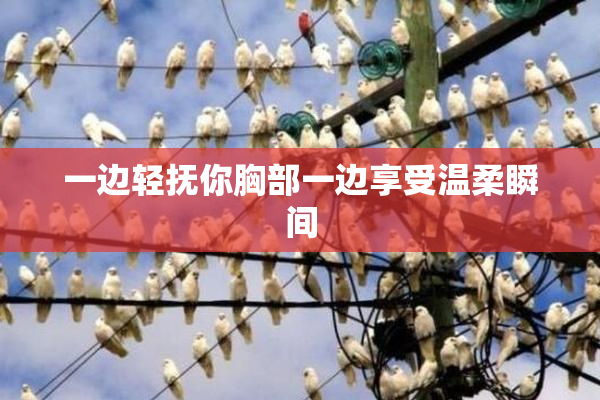 一边轻抚你胸部一边享受温柔瞬间