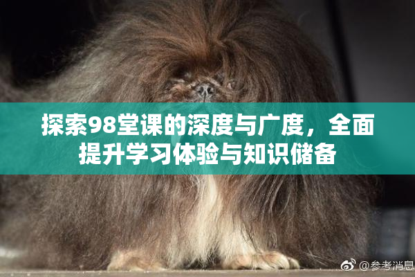 探索98堂课的深度与广度，全面提升学习体验与知识储备