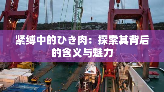 紧缚中的ひき肉：探索其背后的含义与魅力