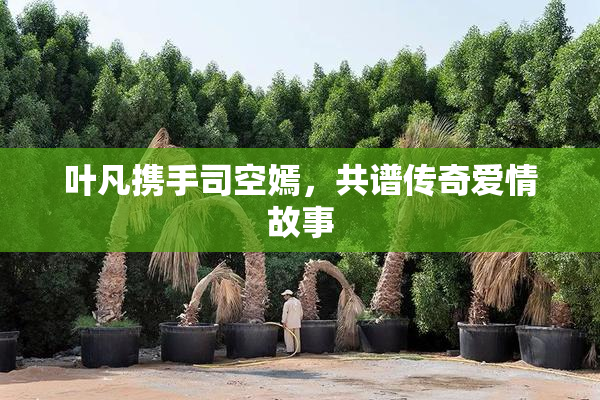 叶凡携手司空嫣，共谱传奇爱情故事