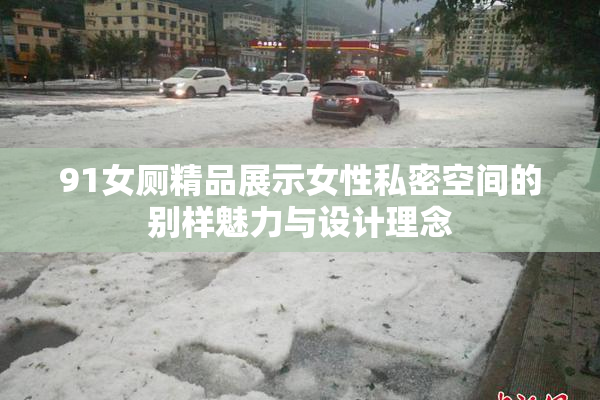 91女厕精品展示女性私密空间的别样魅力与设计理念
