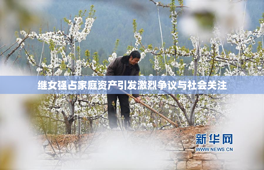 继女强占家庭资产引发激烈争议与社会关注
