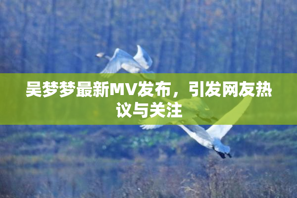 吴梦梦最新MV发布，引发网友热议与关注