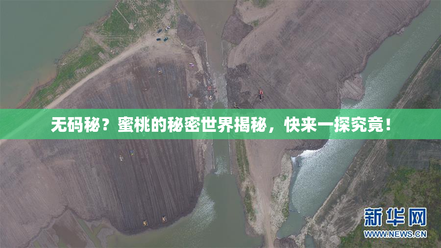 无码秘？蜜桃的秘密世界揭秘，快来一探究竟！