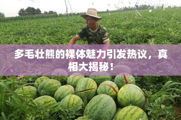 多毛壮熊的裸体魅力引发热议，真相大揭秘！