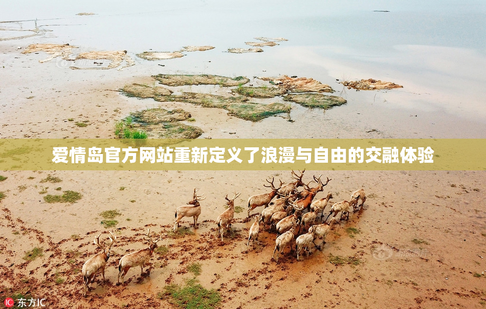 爱情岛官方网站重新定义了浪漫与自由的交融体验