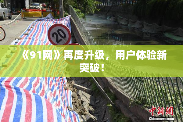 《91网》再度升级，用户体验新突破！