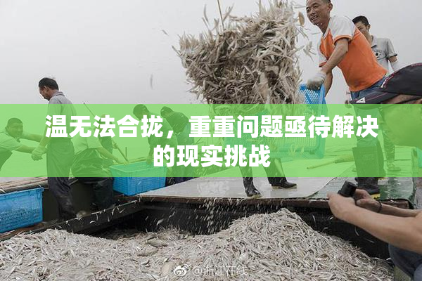 温无法合拢，重重问题亟待解决的现实挑战