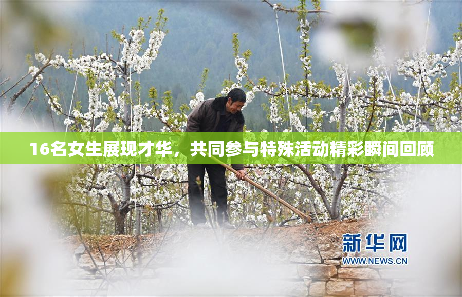 16名女生展现才华，共同参与特殊活动精彩瞬间回顾