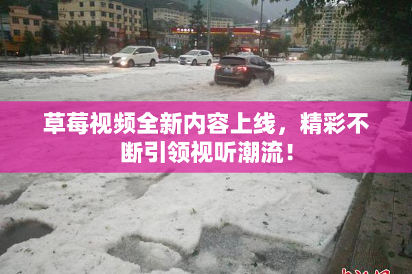草莓视频全新内容上线，精彩不断引领视听潮流！