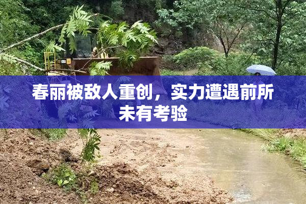 春丽被敌人重创，实力遭遇前所未有考验