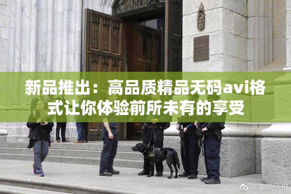 新品推出：高品质精品无码avi格式让你体验前所未有的享受