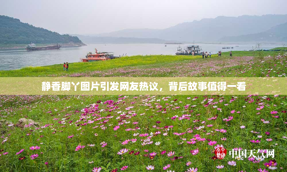 静香脚丫图片引发网友热议，背后故事值得一看