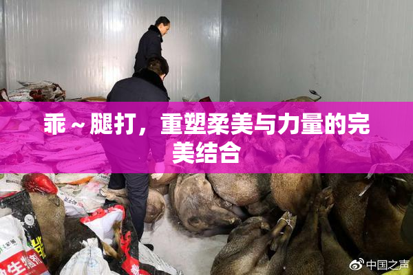 乖～腿打，重塑柔美与力量的完美结合