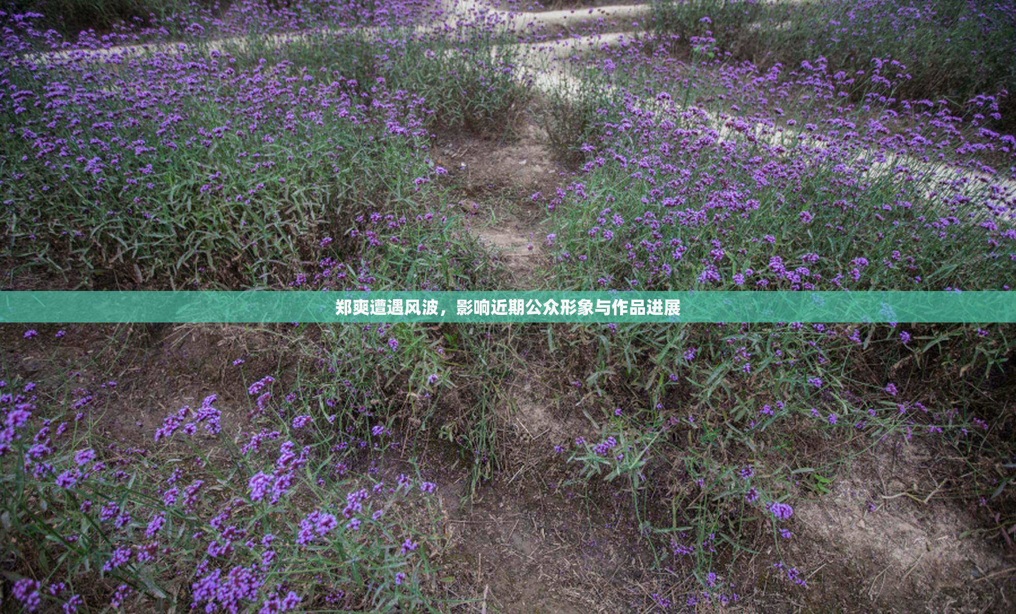 郑爽遭遇风波，影响近期公众形象与作品进展