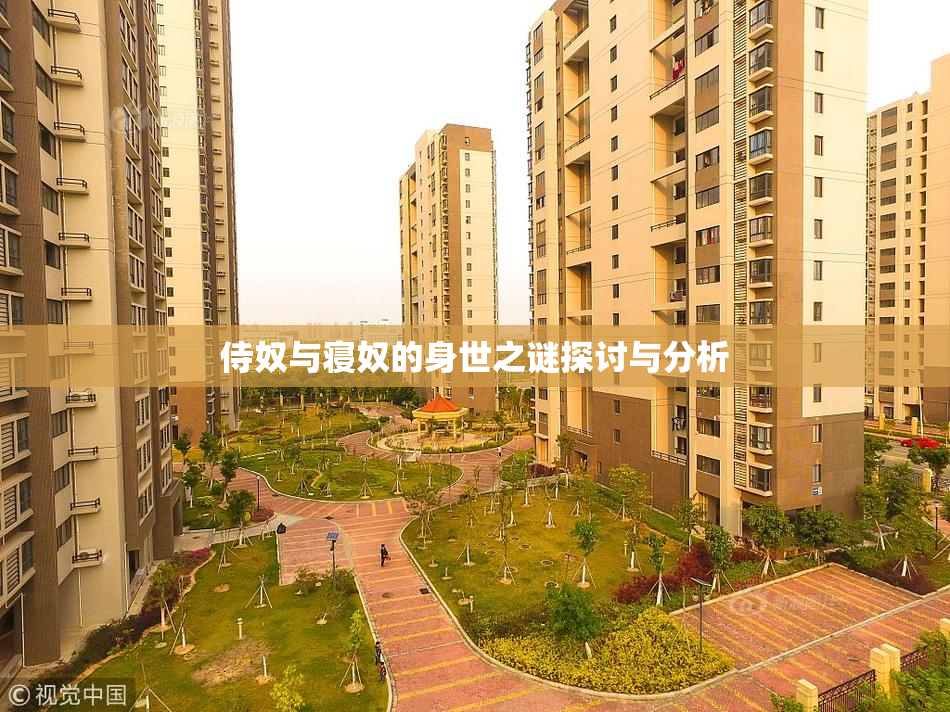 侍奴与寝奴的身世之谜探讨与分析