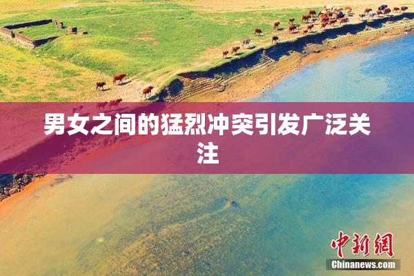 男女之间的猛烈冲突引发广泛关注