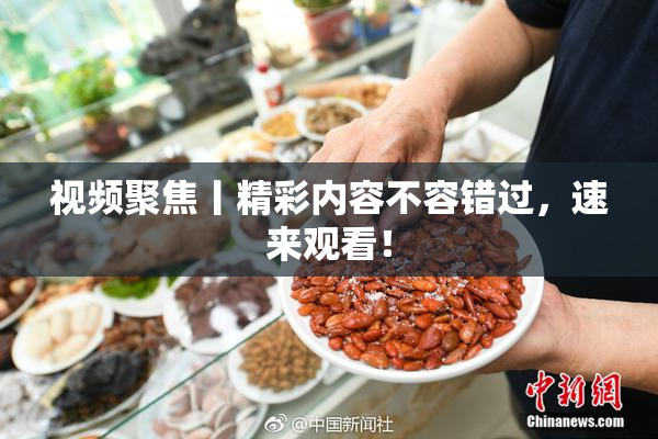 视频聚焦丨精彩内容不容错过，速来观看！