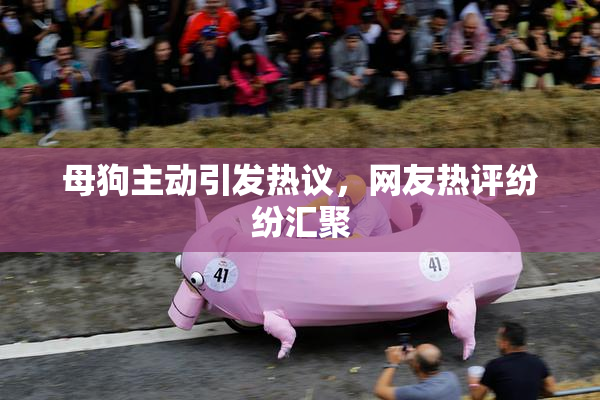 母狗主动引发热议，网友热评纷纷汇聚