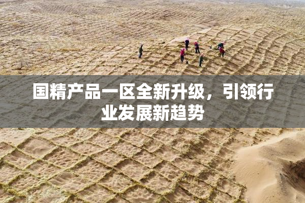 国精产品一区全新升级，引领行业发展新趋势