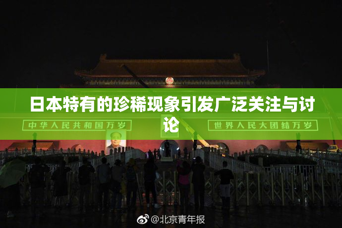 日本特有的珍稀现象引发广泛关注与讨论