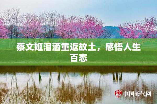 蔡文姬泪洒重返故土，感悟人生百态