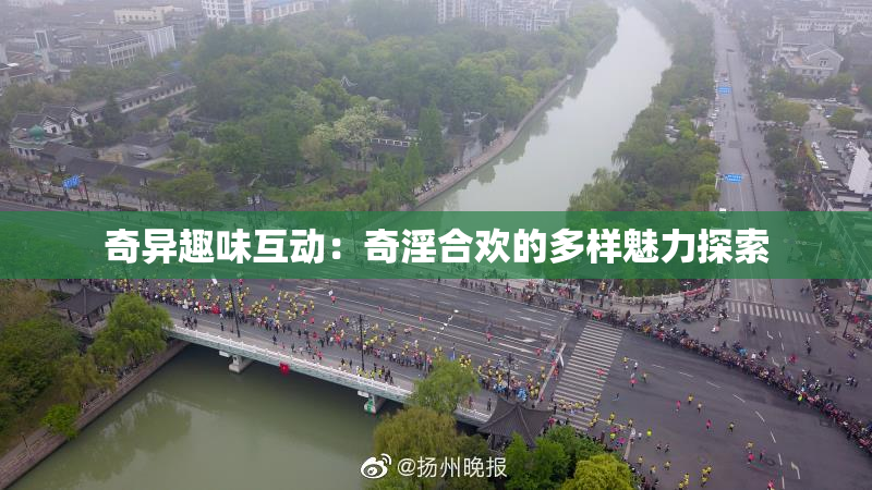 奇异趣味互动：奇淫合欢的多样魅力探索