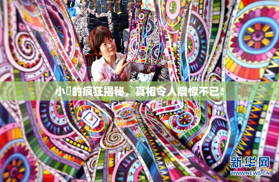 小泬的疯狂揭秘，真相令人震惊不已！