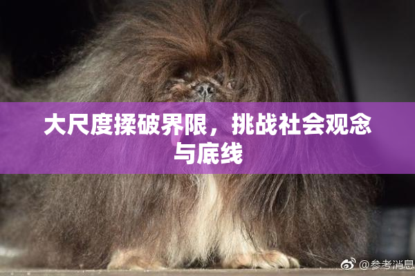 大尺度揉破界限，挑战社会观念与底线