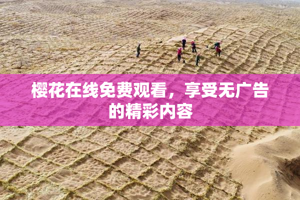 樱花在线免费观看，享受无广告的精彩内容