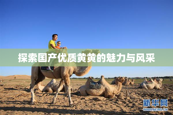 探索国产优质黄黄的魅力与风采