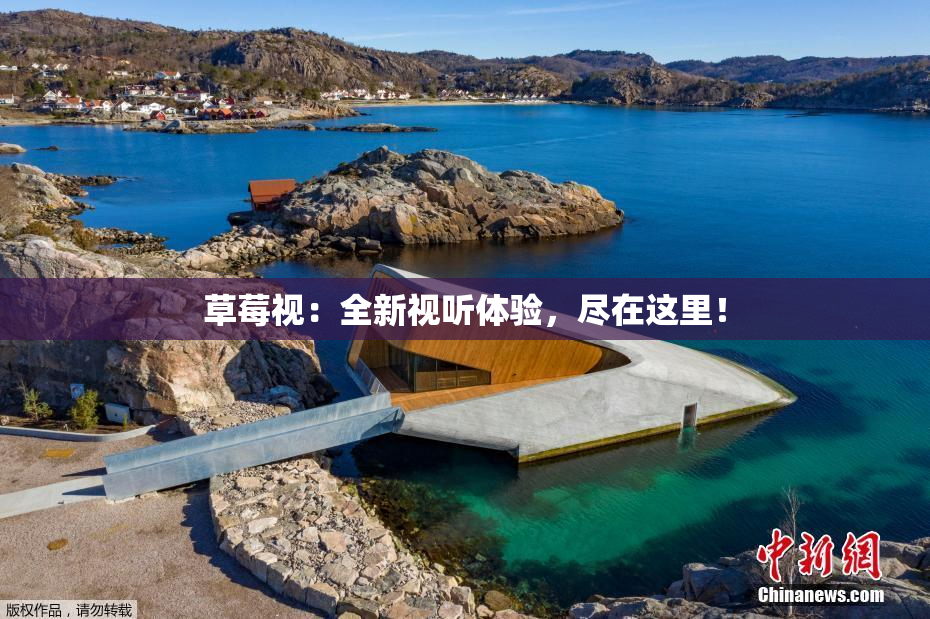 草莓视：全新视听体验，尽在这里！