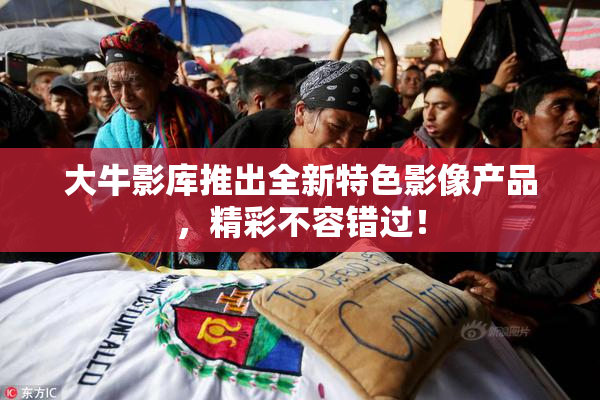 大牛影库推出全新特色影像产品，精彩不容错过！