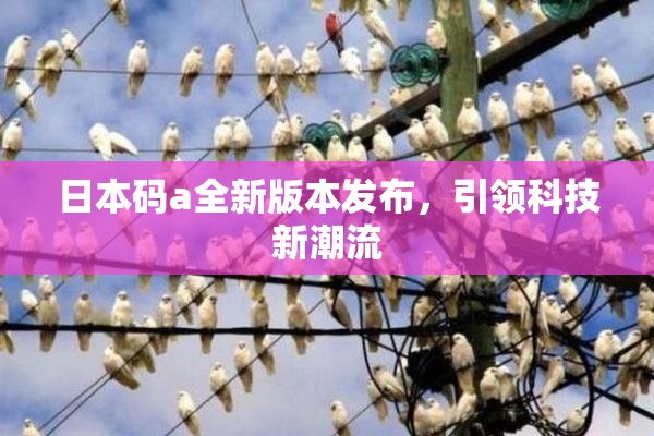 日本码a全新版本发布，引领科技新潮流