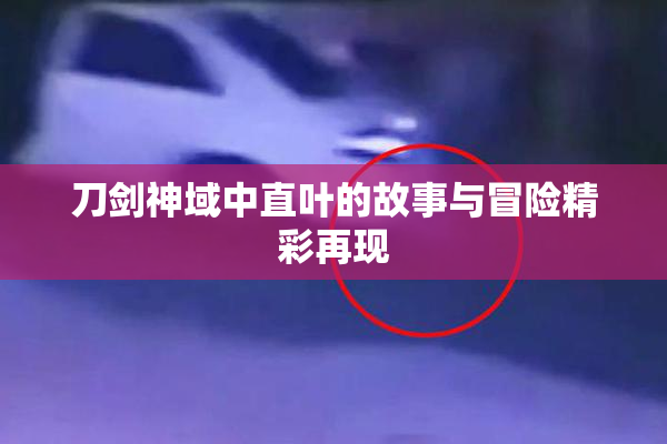 刀剑神域中直叶的故事与冒险精彩再现