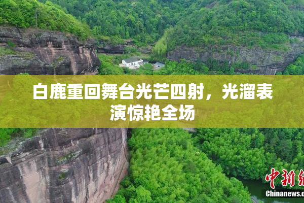 白鹿重回舞台光芒四射，光溜表演惊艳全场