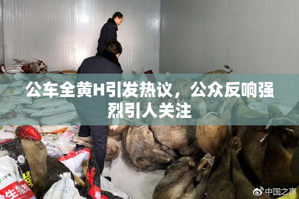 公车全黄H引发热议，公众反响强烈引人关注