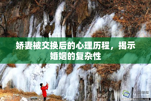 娇妻被交换后的心理历程，揭示婚姻的复杂性