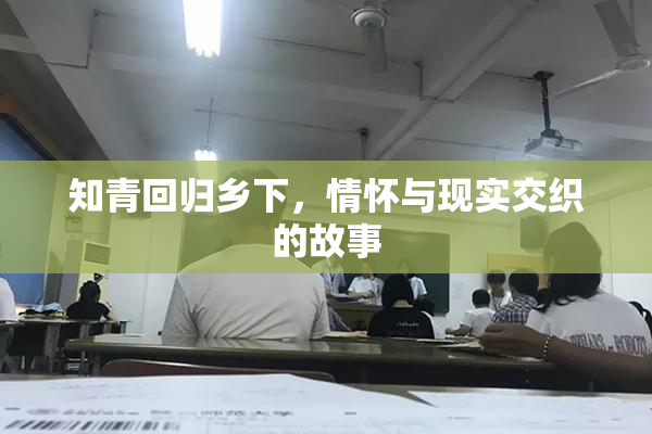 知青回归乡下，情怀与现实交织的故事