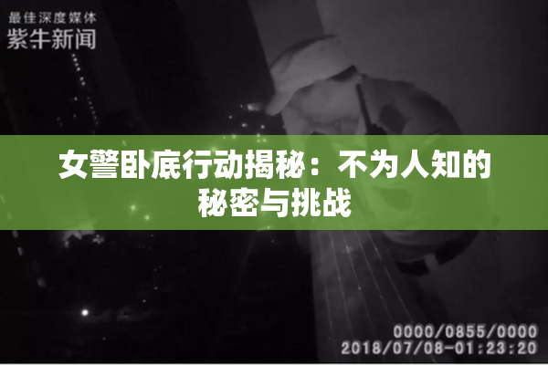 女警卧底行动揭秘：不为人知的秘密与挑战