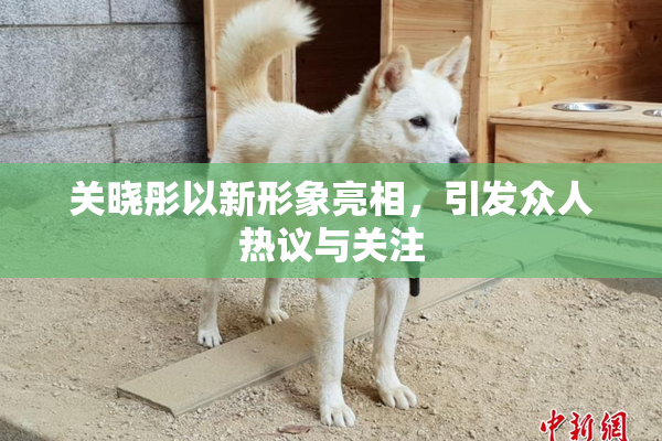 关晓彤以新形象亮相，引发众人热议与关注