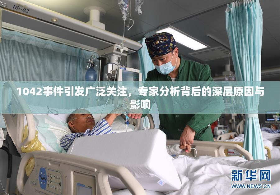 1042事件引发广泛关注，专家分析背后的深层原因与影响