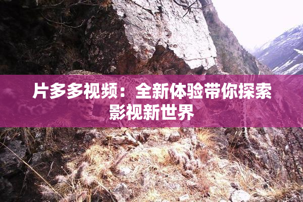 片多多视频：全新体验带你探索影视新世界
